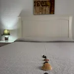 Apartamento Espacioso El Olivo